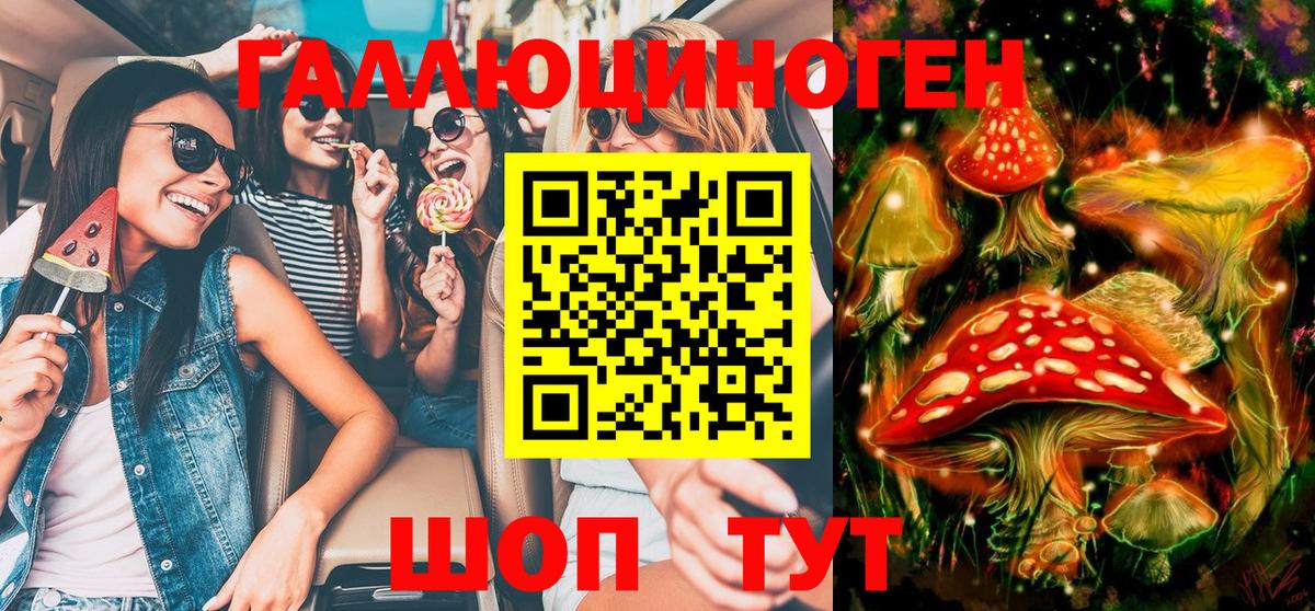 Псилоцибиновые грибы Psilocybe  Вход с VPN  Большой Камень 